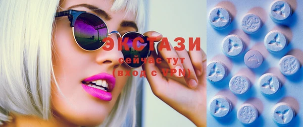 стафф Данков