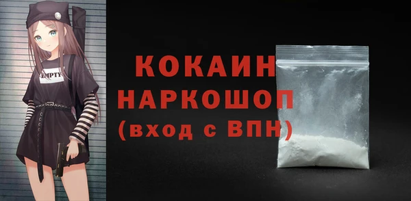 стафф Данков
