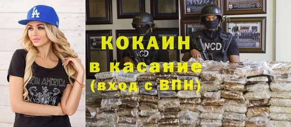 стафф Данков