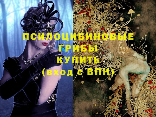 ПСИЛОЦИБИНОВЫЕ ГРИБЫ Дегтярск