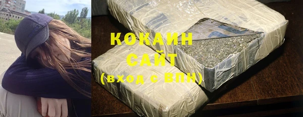 стафф Данков