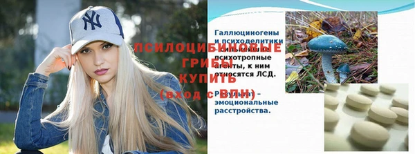 спиды Дедовск
