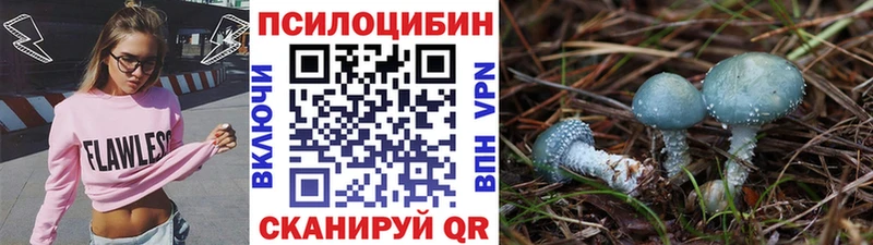 купить наркоту  Шебекино  Галлюциногенные грибы Psilocybe 