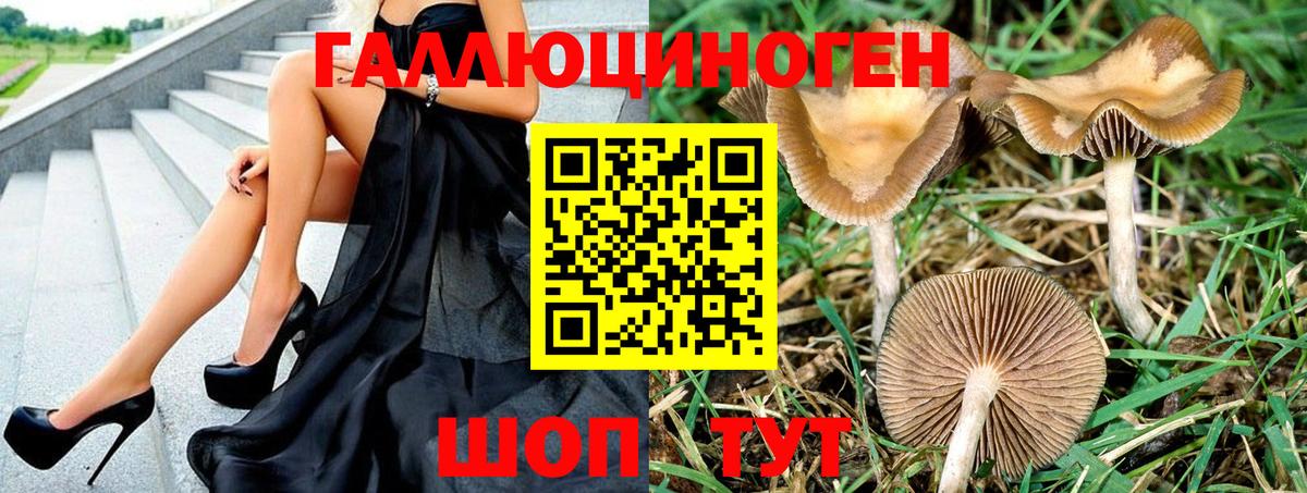 Галлюциногенные грибы мухоморы  Галлюциногенные грибы Magic Shrooms  Шебекино  Вход с VPN 